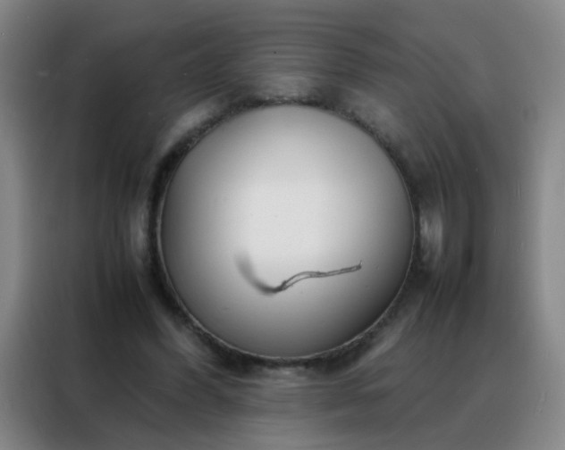 X0000088130396200705211120