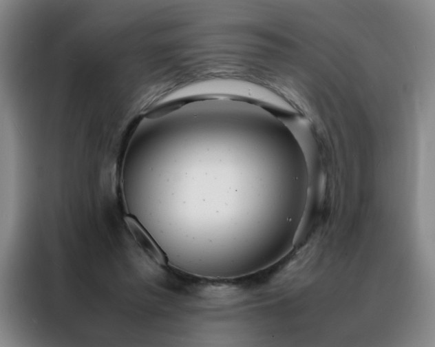 X0000088130397200705211120