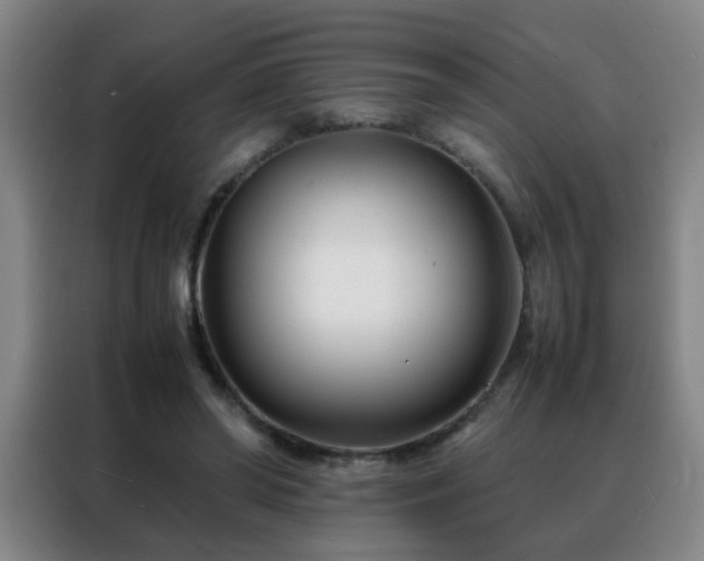 X0000088130398200705211120