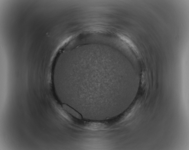 X0000088130399200705211120