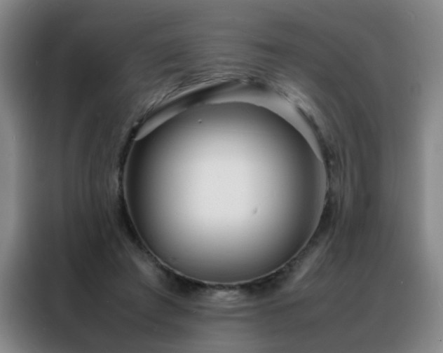 X0000088130401200705211120