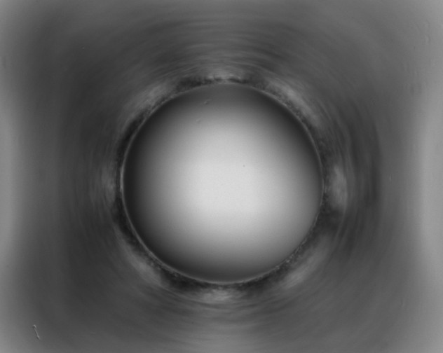 X0000088130402200705211120