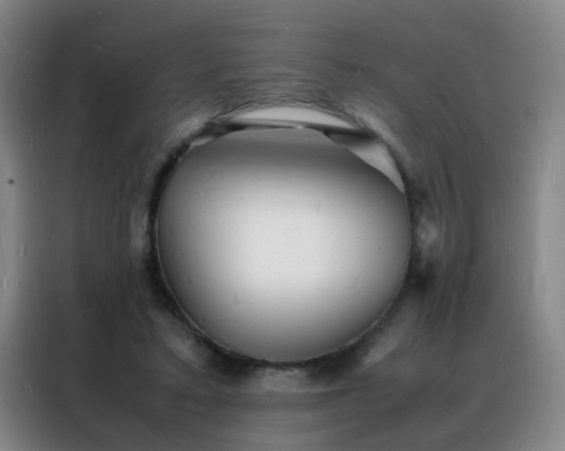 X0000088130403200705211120