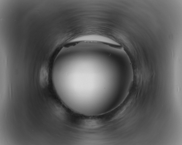 X0000088130404200705211120