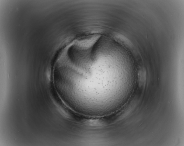 X0000088130406200705211120