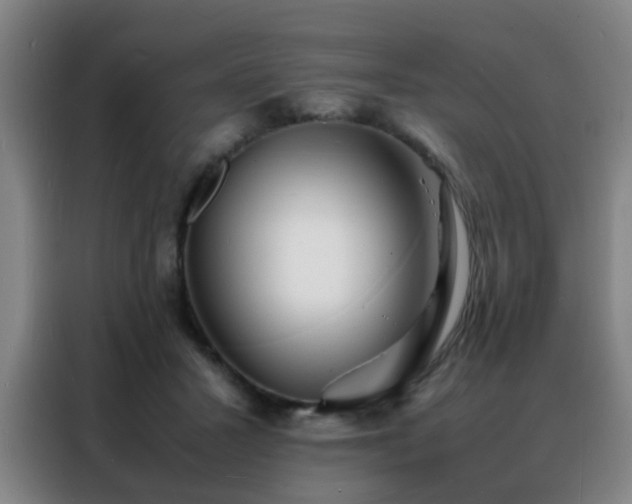 X0000088130407200705211120