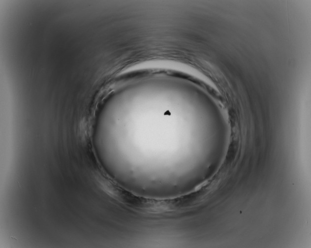 X0000088130409200705211120