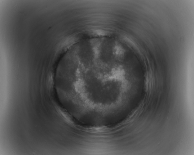 X0000088130410200705211120