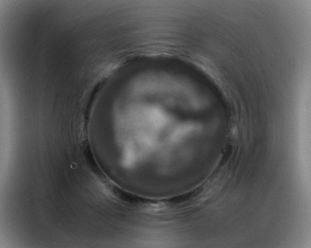 X0000088130411200705211120