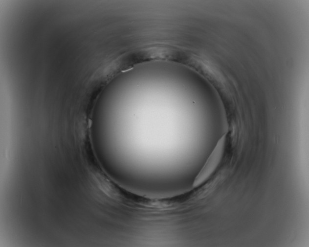 X0000088130413200705211119