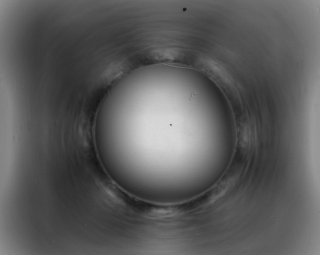 X0000088130414200705211119