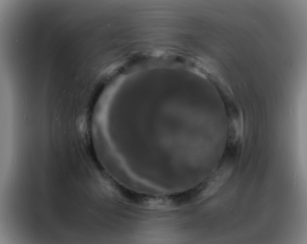 X0000088130415200705211119