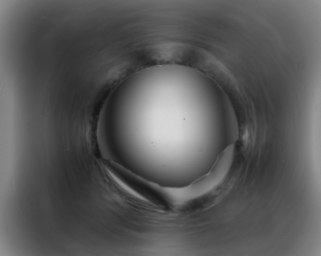 X0000088130416200705211119