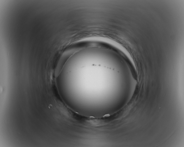 X0000088130417200705211119