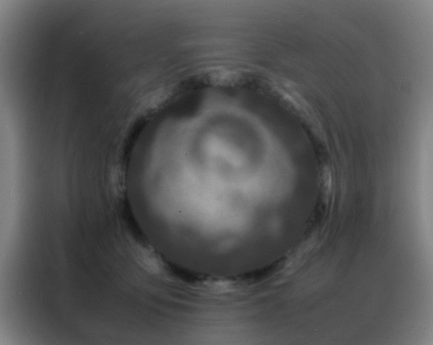 X0000088130419200705211119