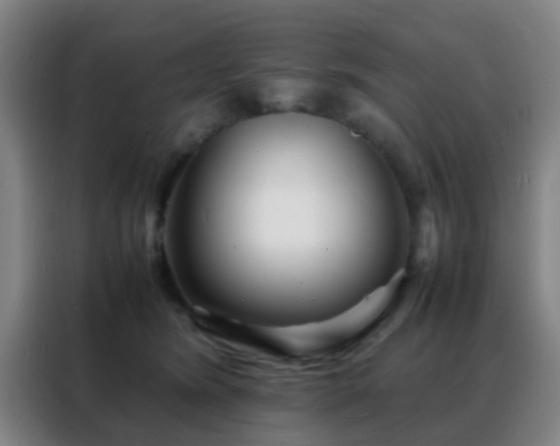 X0000088130420200705211119