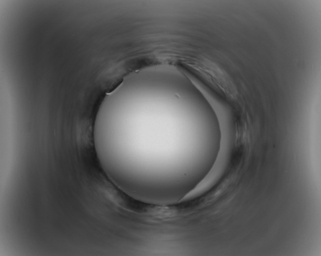 X0000088130421200705211119