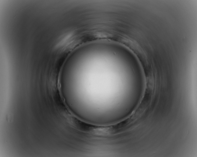 X0000088130422200705211119