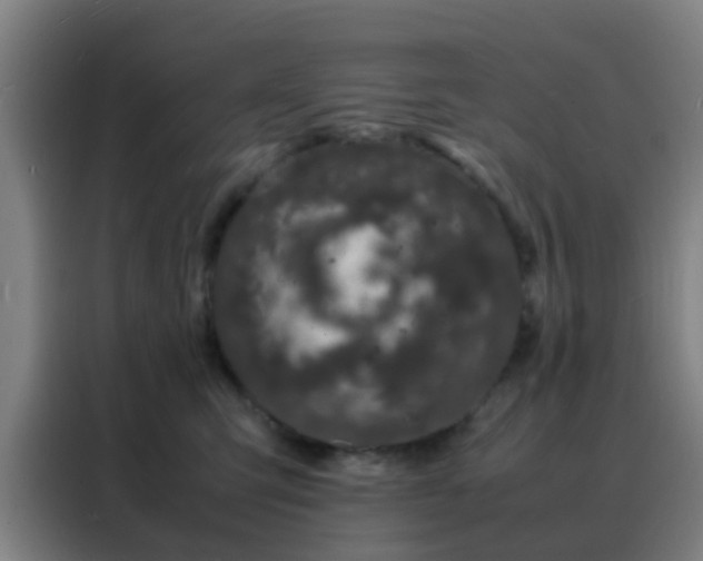 X0000088130423200705211119