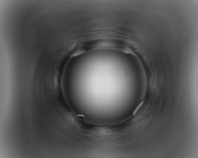 X0000088130424200705211119