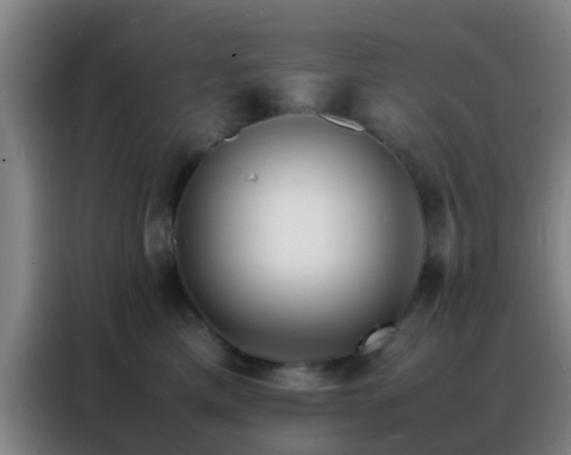 X0000088130425200705211119