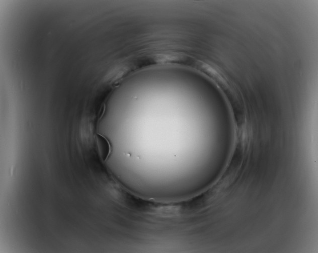 X0000088130426200705211119