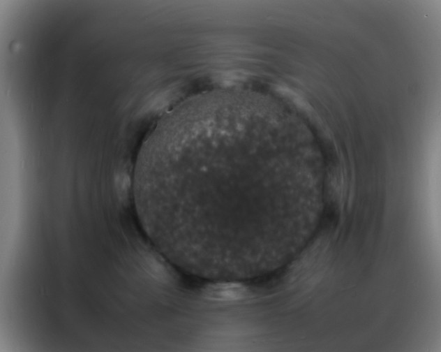 X0000088130427200705211119