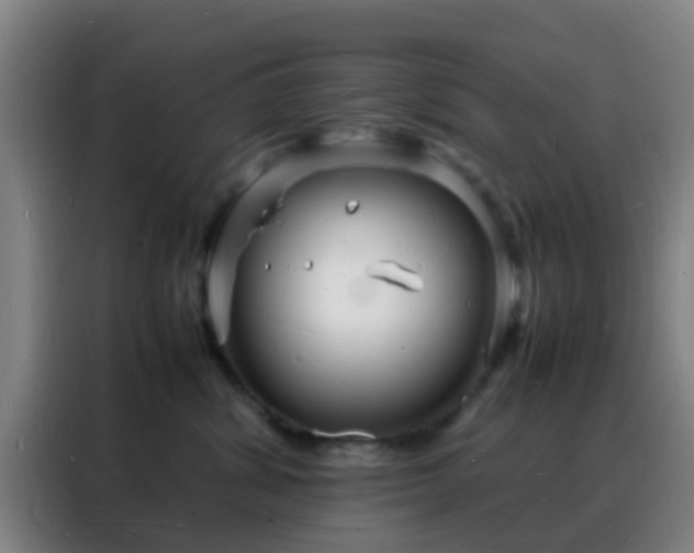 X0000088130428200705211119