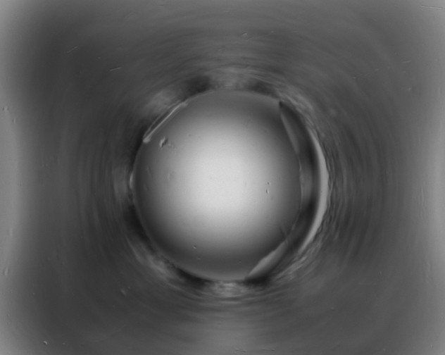 X0000088130429200705211119