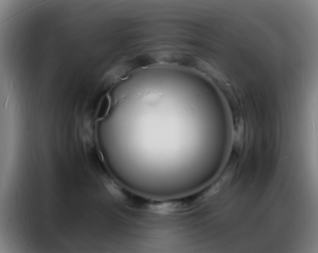 X0000088130430200705211119