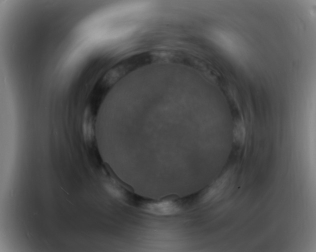 X0000088130431200705211119