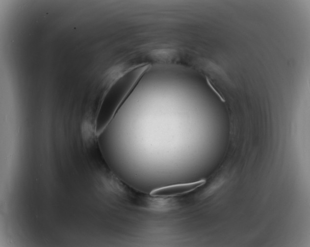 X0000088130432200705211119