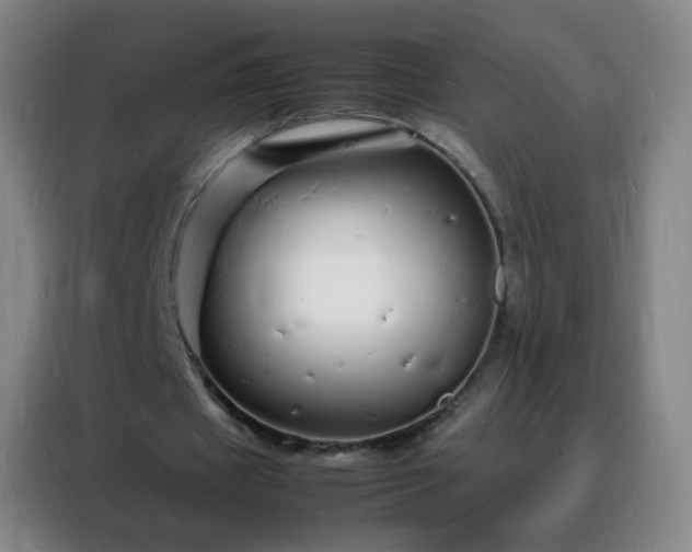 X0000088130433200705211119