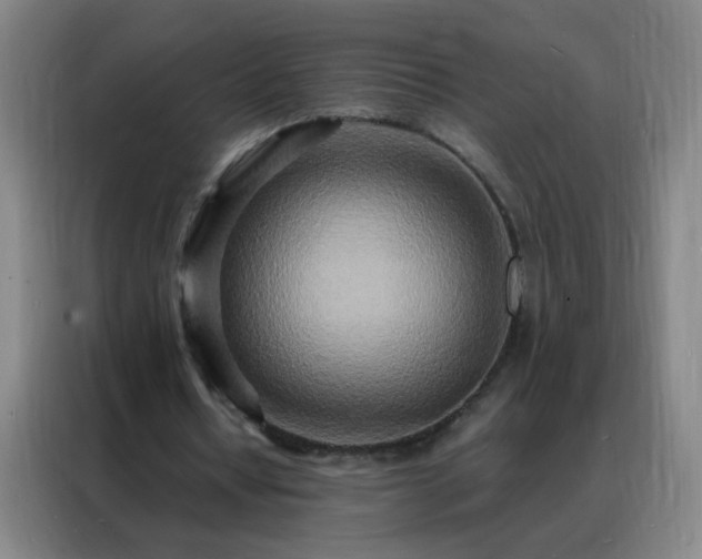 X0000088130434200705211119