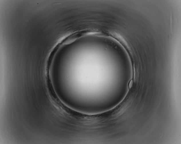 X0000088130435200705211119