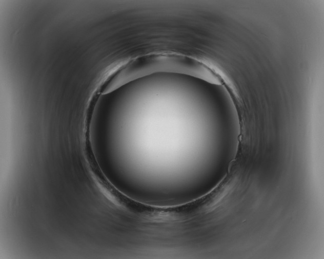 X0000088130437200705211119