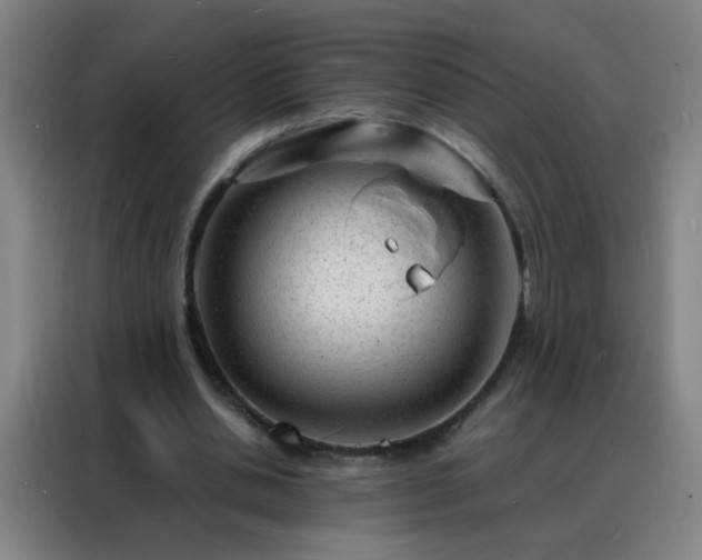 X0000088130438200705211119