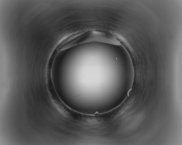 X0000088130439200705211119