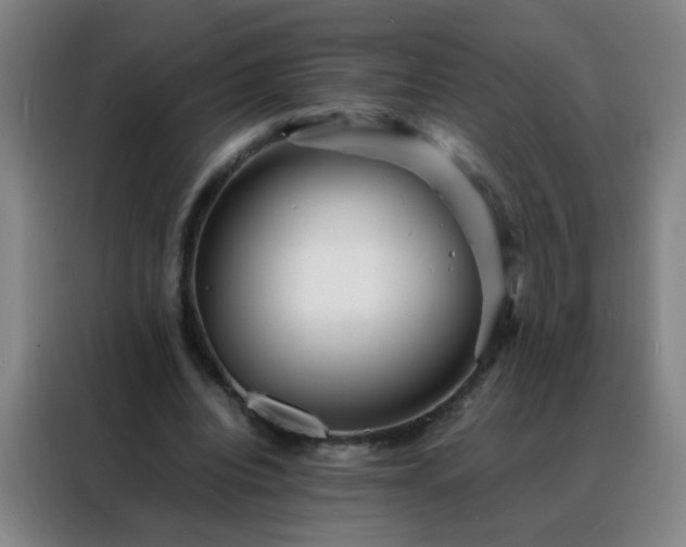 X0000088130440200705211119