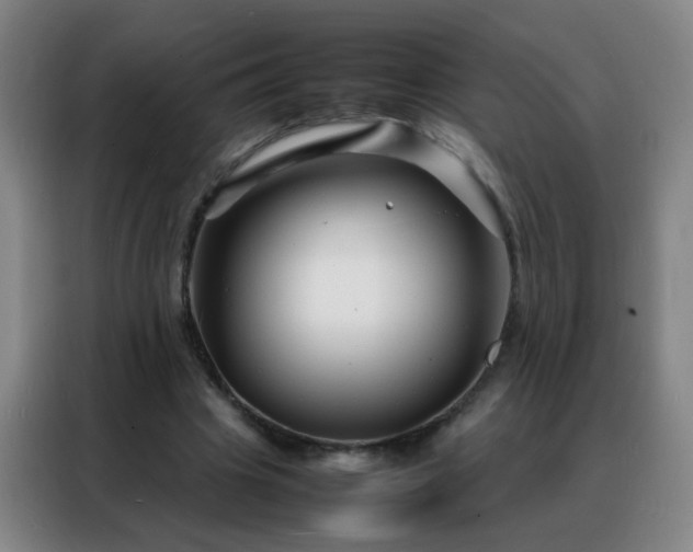 X0000088130441200705211119