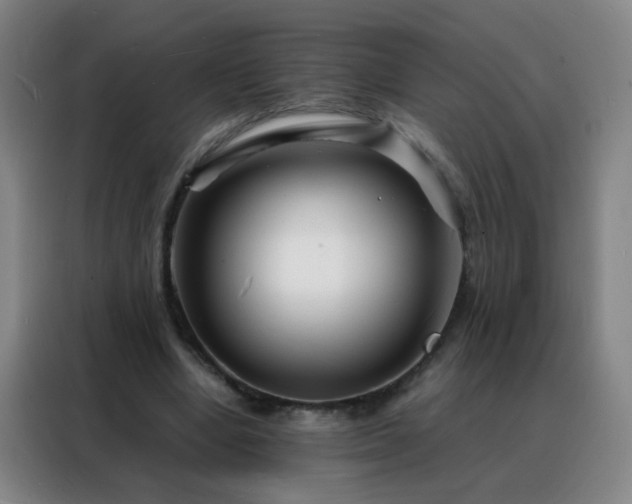 X0000088130442200705211119