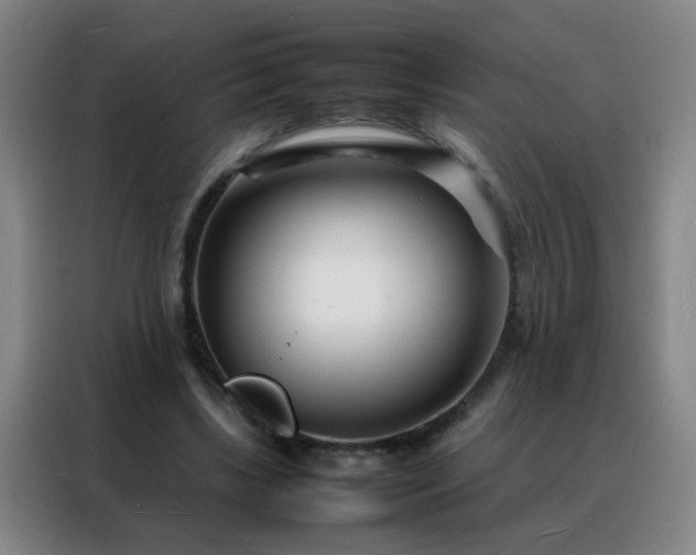 X0000088130443200705211119