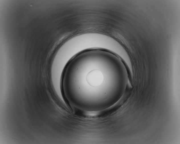 X0000088130444200705211119