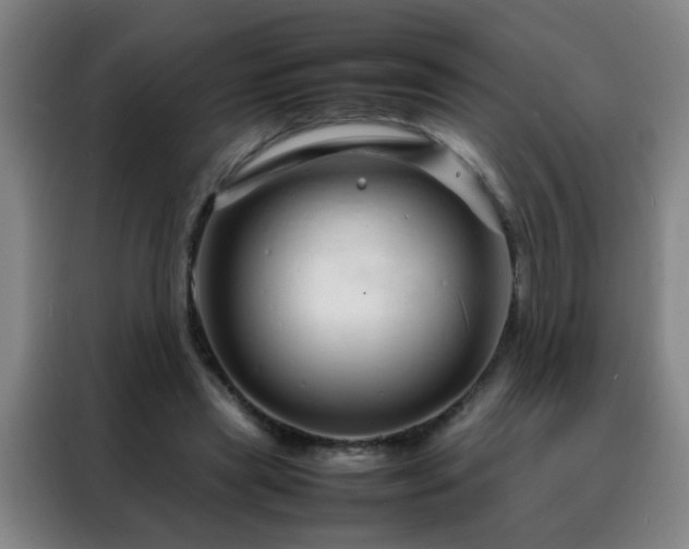 X0000088130445200705211119