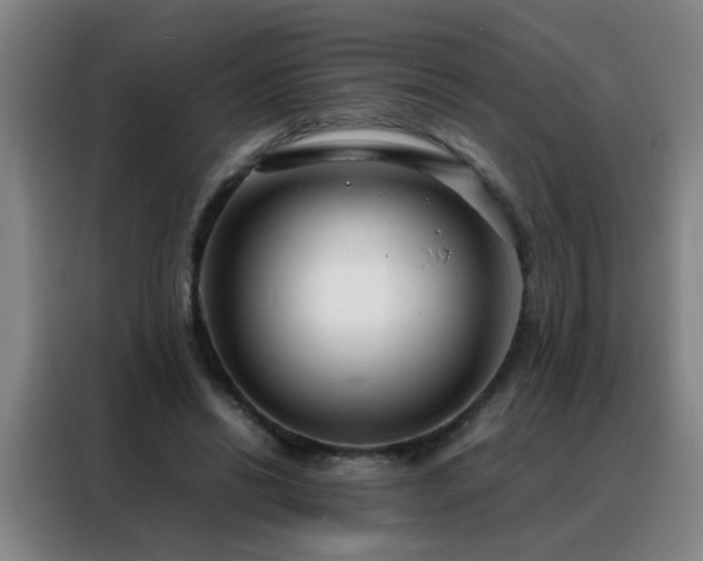 X0000088130446200705211119