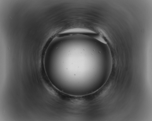 X0000088130447200705211119