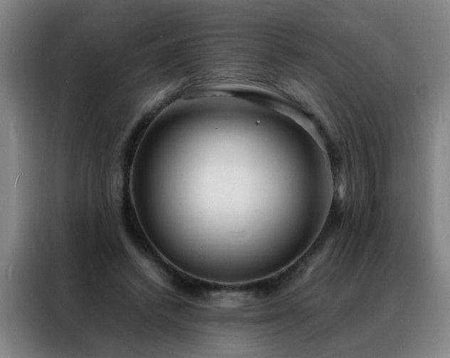 X0000088130448200705211119