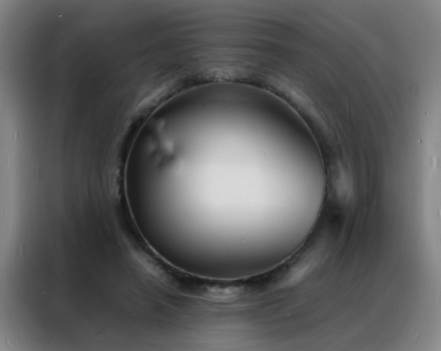 X0000088130450200705211119