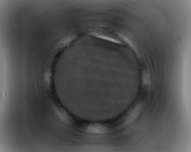 X0000088130451200705211119