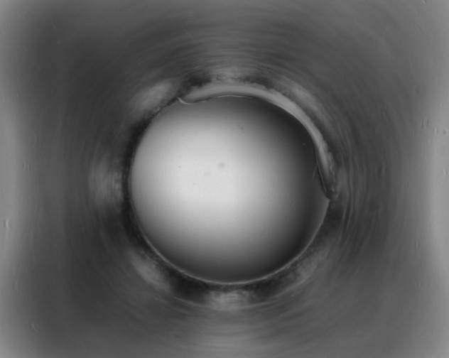 X0000088130452200705211119